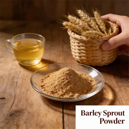 What Makes Barley Sprout Powder Better Than Wheatgrass?